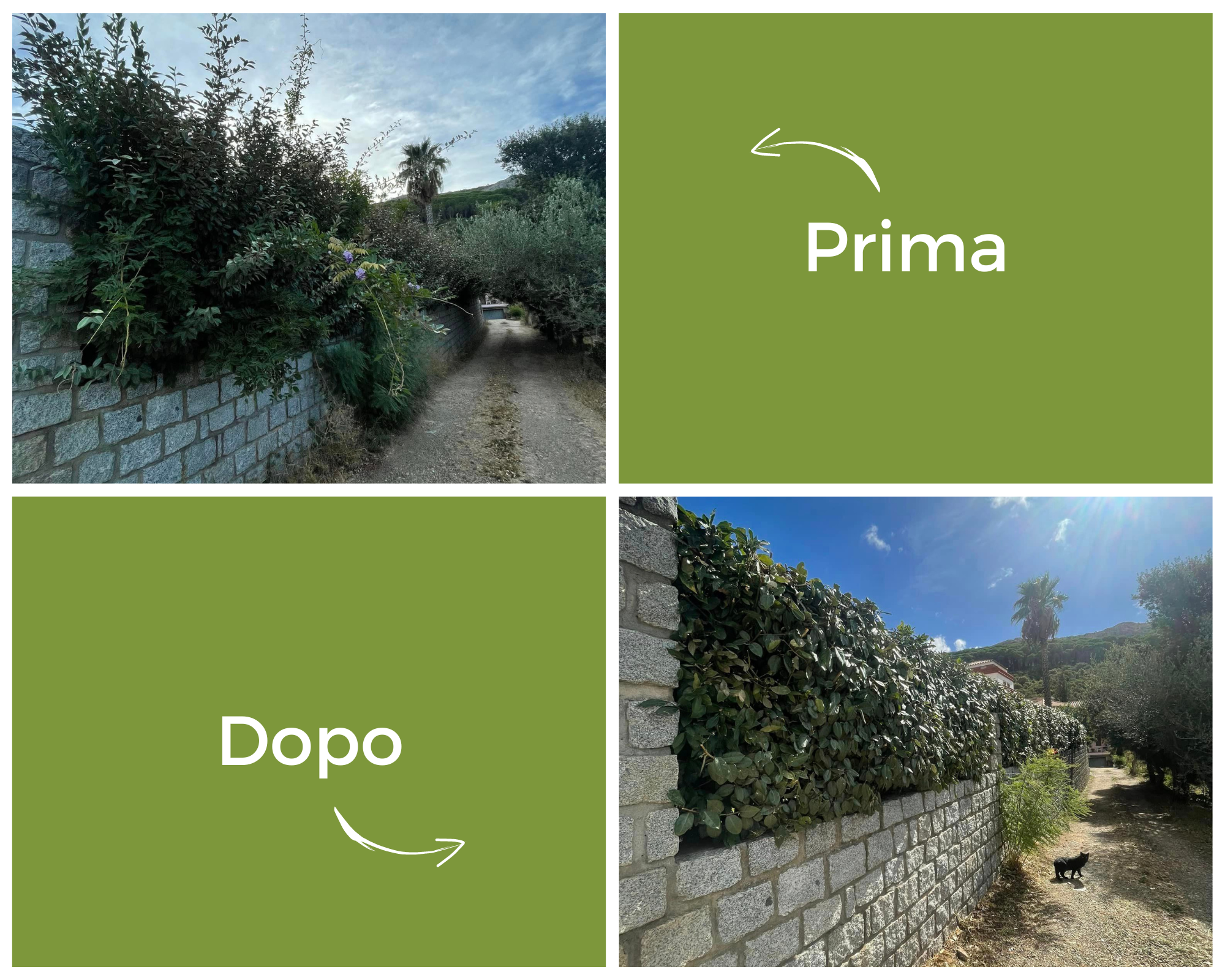 Manutenzione giardino abitativo (Arbus)