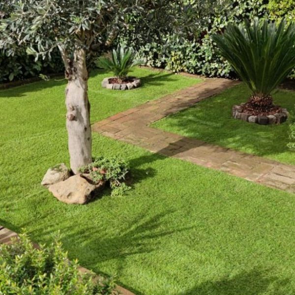 Manutenzione giardini in Sardegna