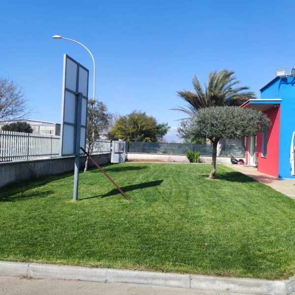 Manutenzione giardini in Sardegna